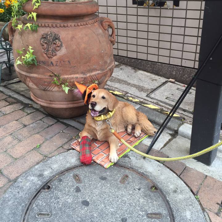 9f23f9de 20a1 48e8 b52b 454fb7d5e7d0