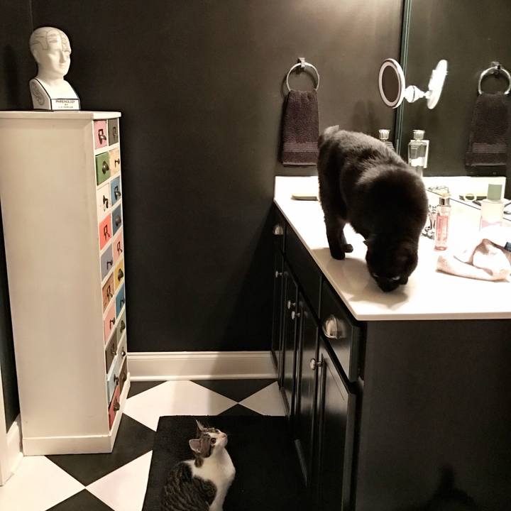 9f245299 4606 4b63 b404 7a49db99b74d