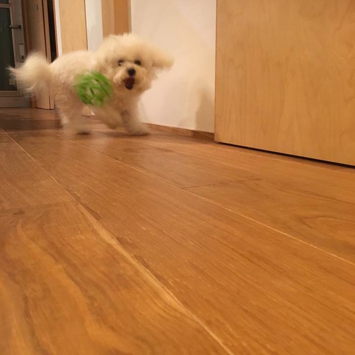 9f24c3c5 684a 4565 bba0 ceaf94156080