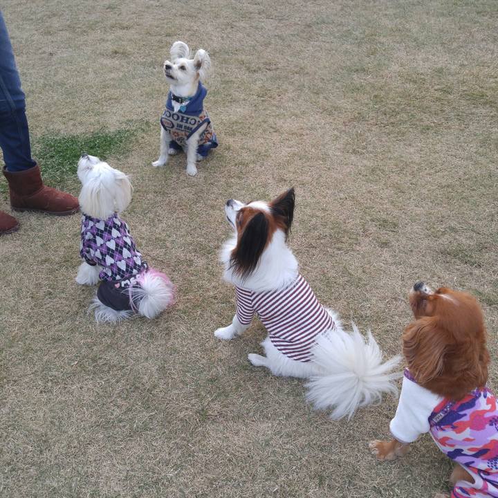 9f2685c4 7fdd 41ef 9460 e10f55da20ae