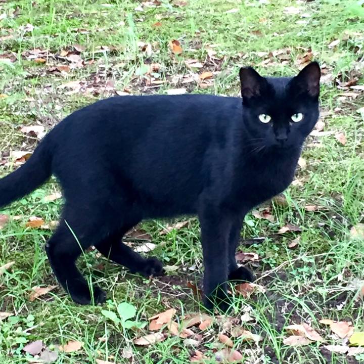 9f26f28d 52e5 4464 bb80 33bb901b5b92