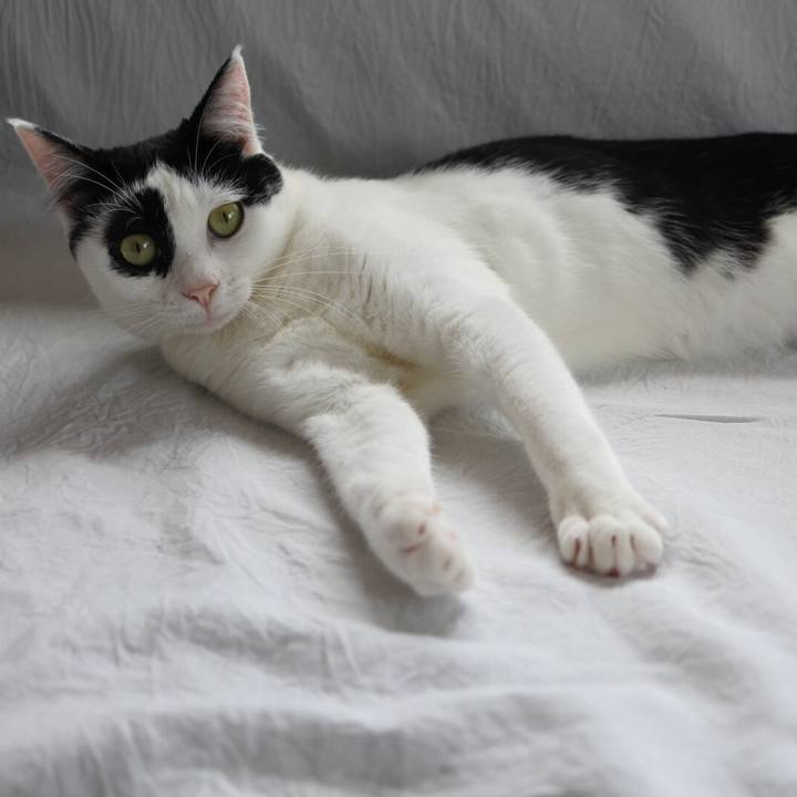 9f280d8e 1cd1 4d52 9265 5c293298d31c