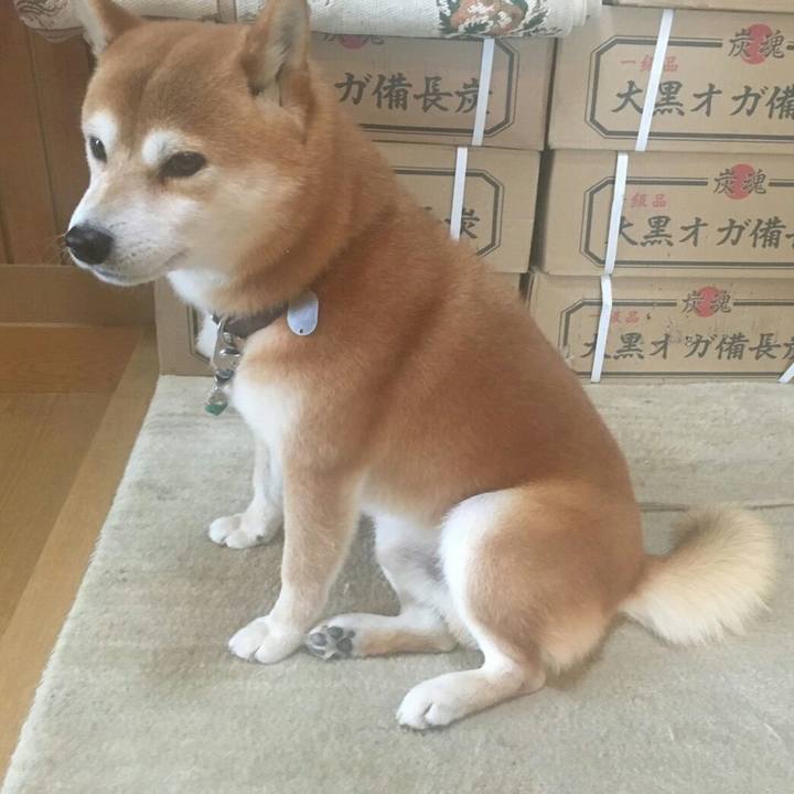 9f289cda a4a1 4618 a005 b228d529b6a6