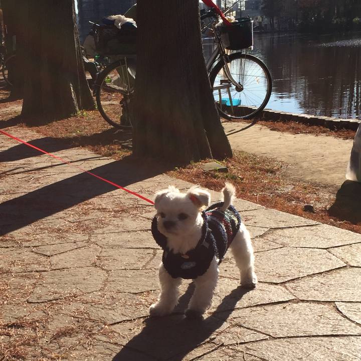 9f28d826 5a0a 4792 a7d2 9a8724c86882