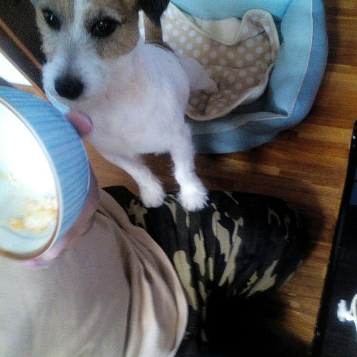 9f28f8ae 8e4a 4306 affb d6f7022ab73a