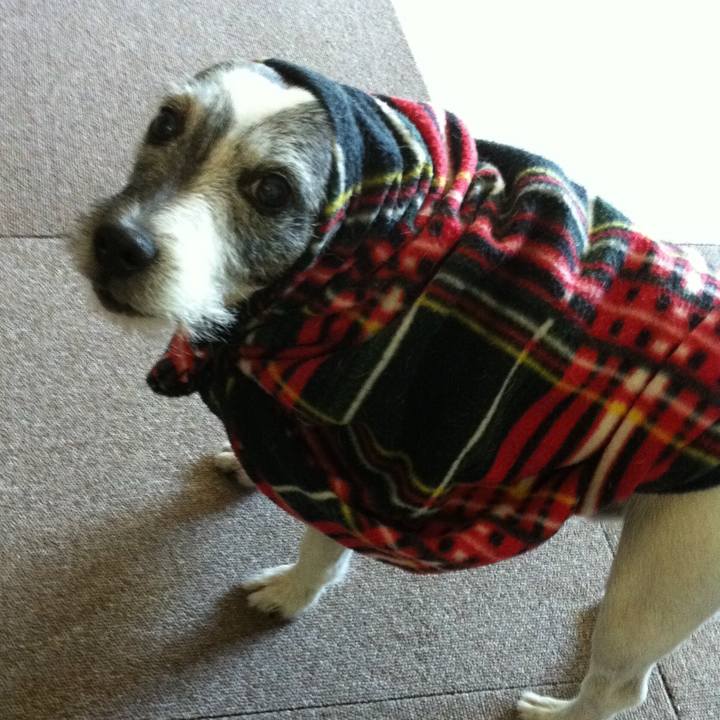 9f295fa0 37fb 4002 a5b4 5131690088c2