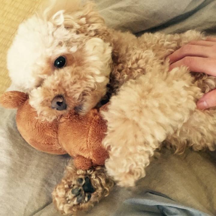 9f295fe3 0e64 46b2 8b6f 75d2ffe1c607