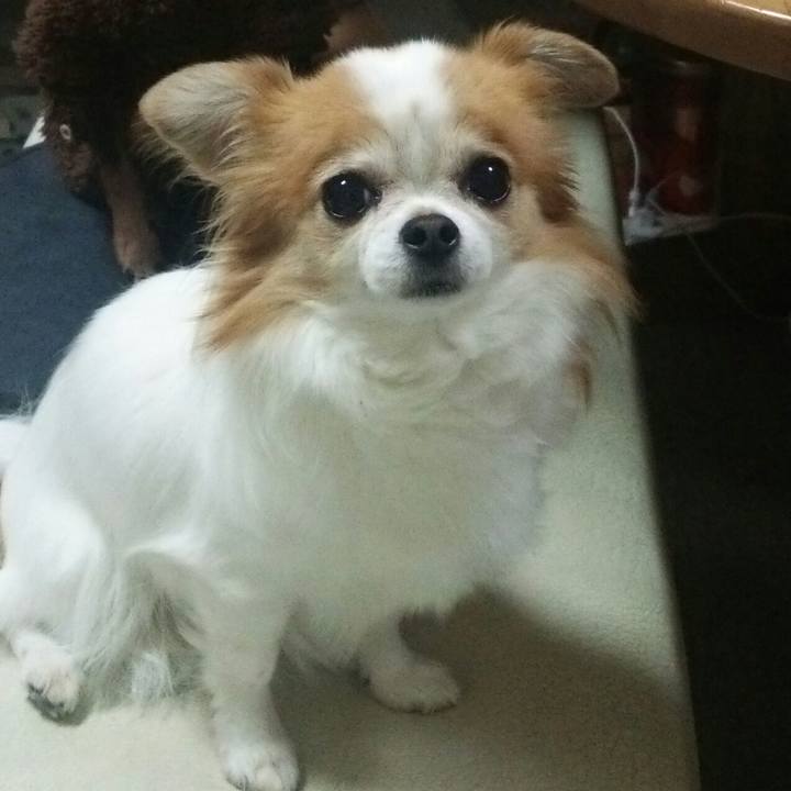 9f29778d d453 4d0d 9b47 13999f4aad36