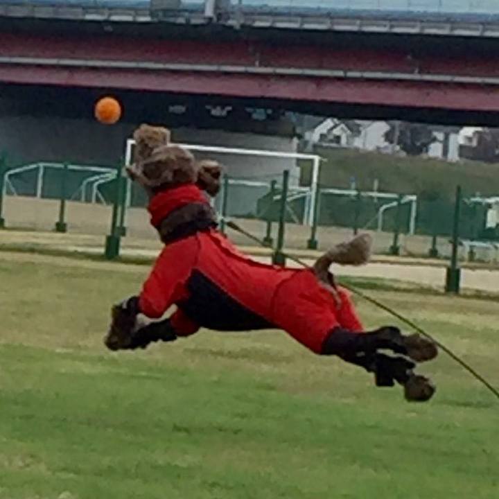 9f2a2068 3b3c 41e2 8873 86282bd29907