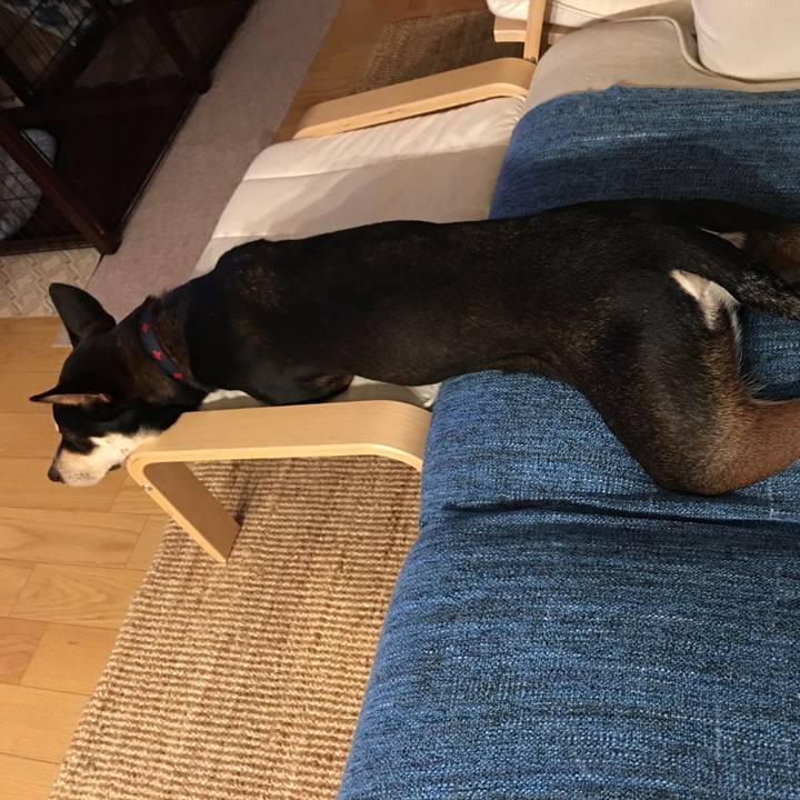 9f2a655e f8de 4dfe a0b4 f88d79cd32d6