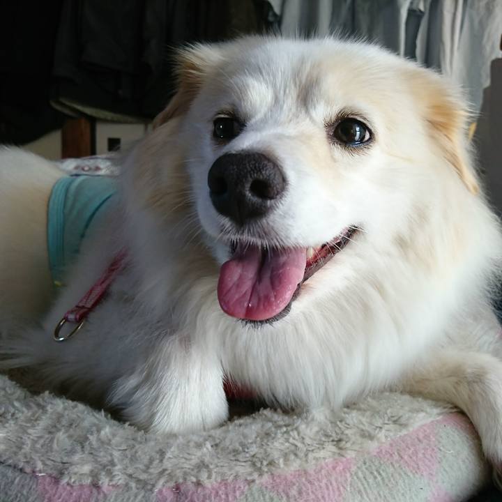 9f2ac4b0 58c5 4ffc b308 0954c85fc2ab