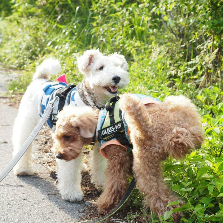 9f2b454b 9860 4e5e 939a fad9b4d4d507