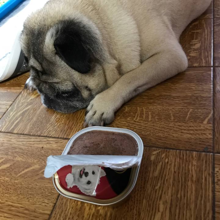 9f2b647a d300 4aa1 beb1 4652f3aa2ef6