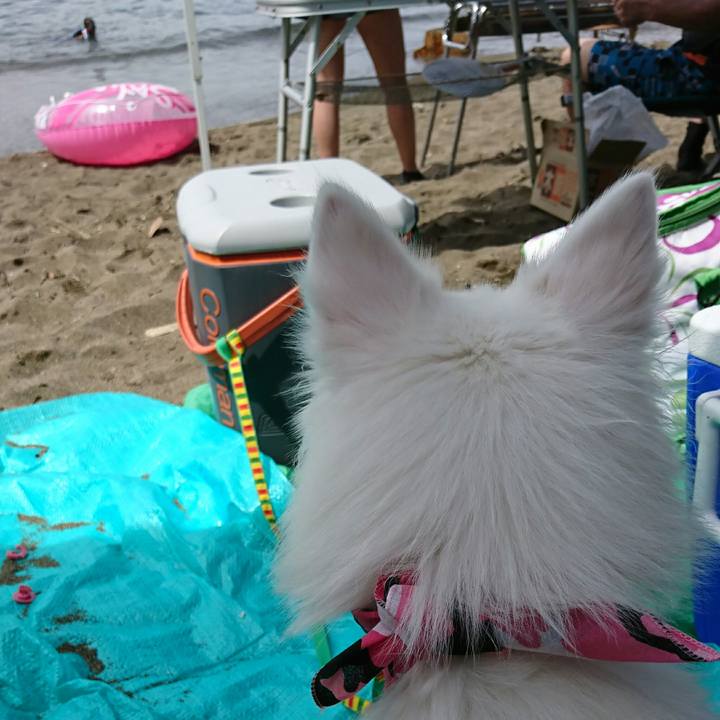 9f2b8cb7 3a02 4adf af2a 15a3c8cec2d1