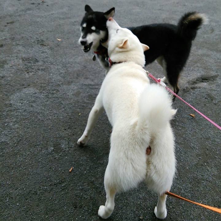 9f2bdbb7 3622 4e45 8a8e dced3cf2a5d5