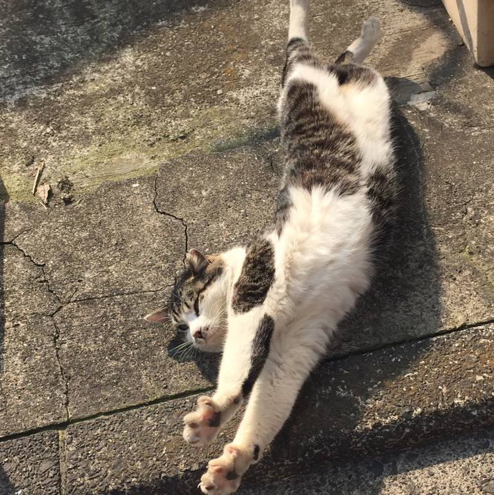 9f2c74fe f8f4 4dff 854d f5a656f6d1a1