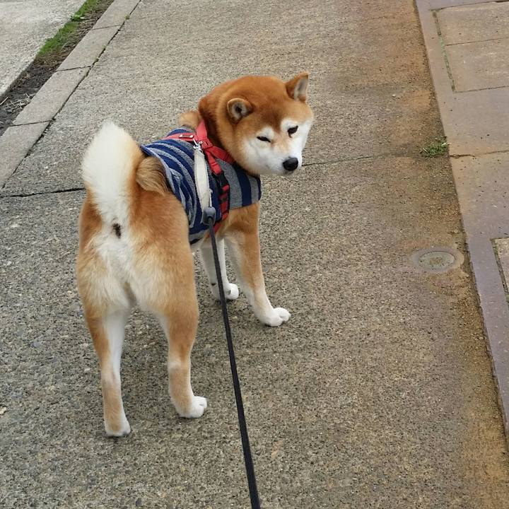 9f2c7a30 1892 41e3 a668 2e5fe5b70669