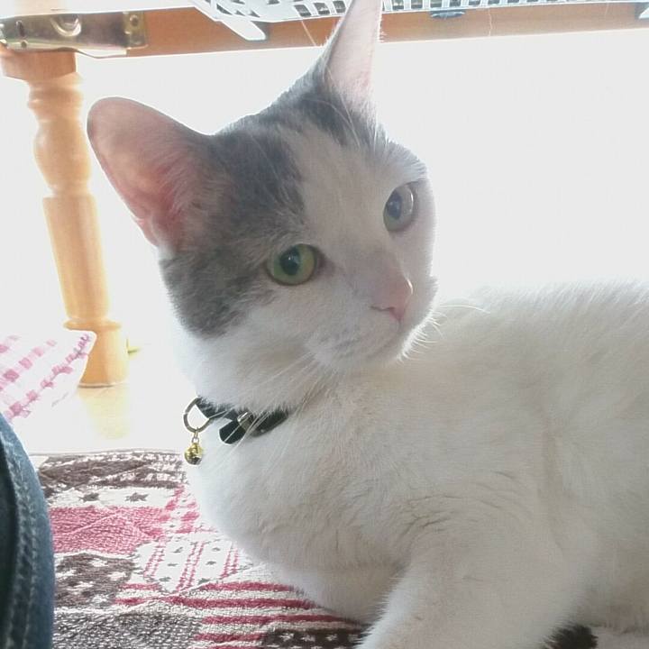 9f2d27f2 22cc 406c af80 0b2d7d62f9bf