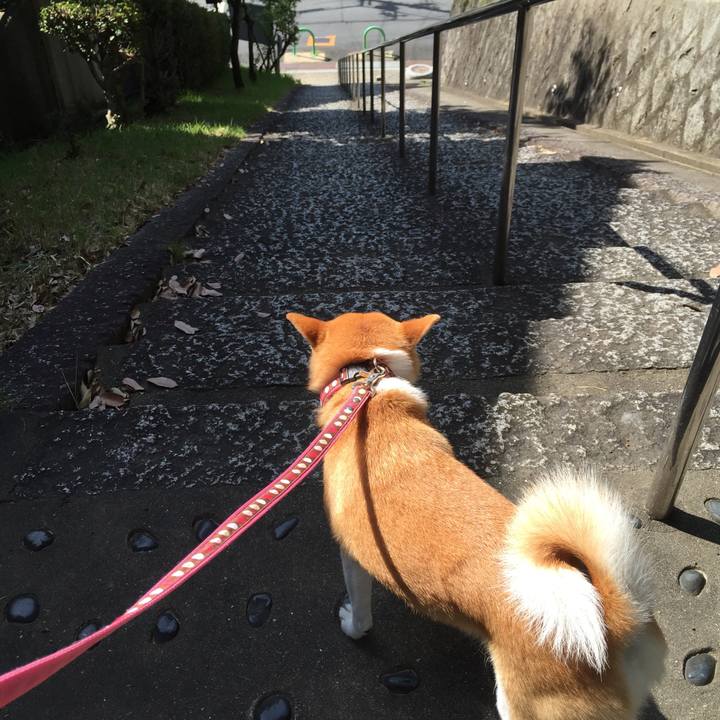 9f2de1d0 3fba 4d6b 9a5c 3f25953e30ae