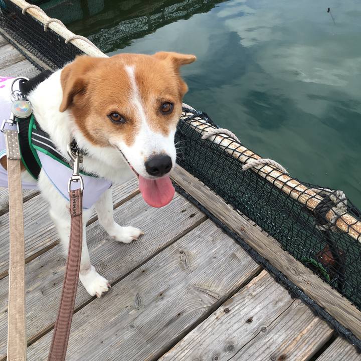 9f2df0f2 026b 46f6 8aa2 19e48e7c92be