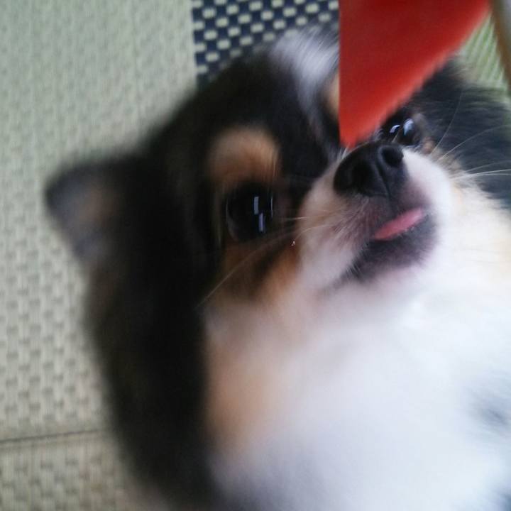 9f2eccaa e81d 4d10 8a39 ec1f78b577ed