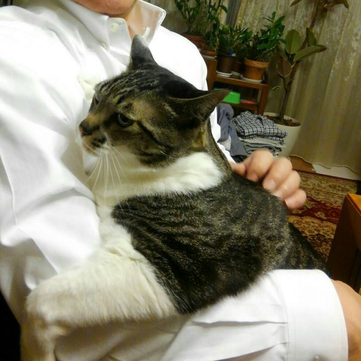 9f2f6d86 08a4 42d0 ab5e 90fd5778deac