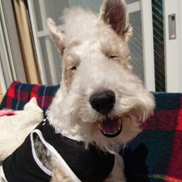 9f2fbd13 7f87 4718 8914 59fdfba6d3cb