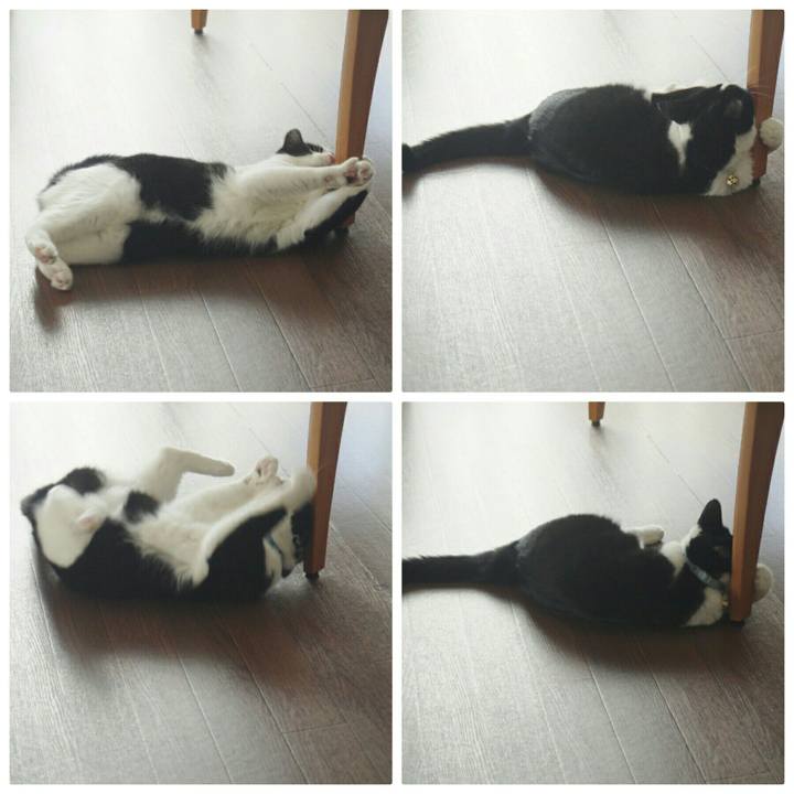 9f30ce44 2cbd 4bc5 bc76 7935e49beeca