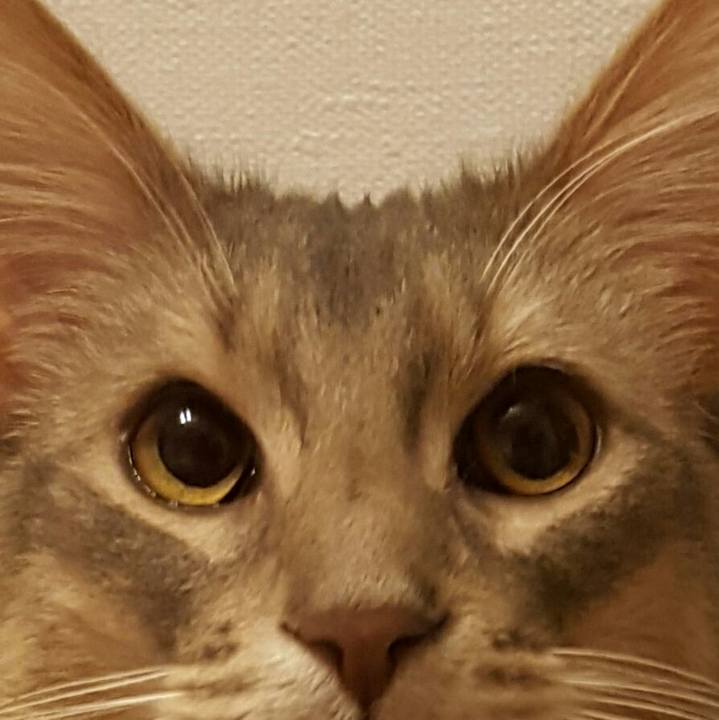 9f311056 2403 4089 9ecd 2ccbbfcf4bed