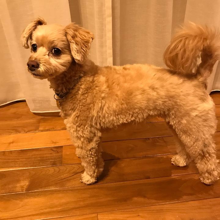 9f313e15 5a05 40d9 afea b02532acb643