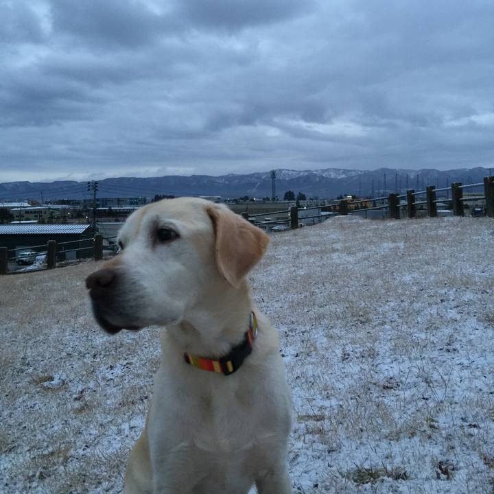 9f31b1b9 7914 44fc 8553 80effcbddba6