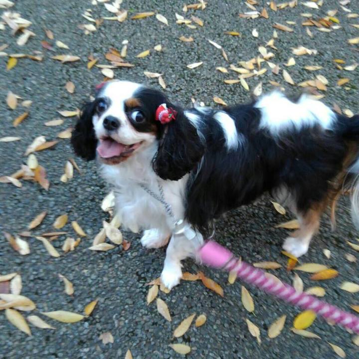 9f31ba0e d64e 4d4e 9d21 8428750b391c