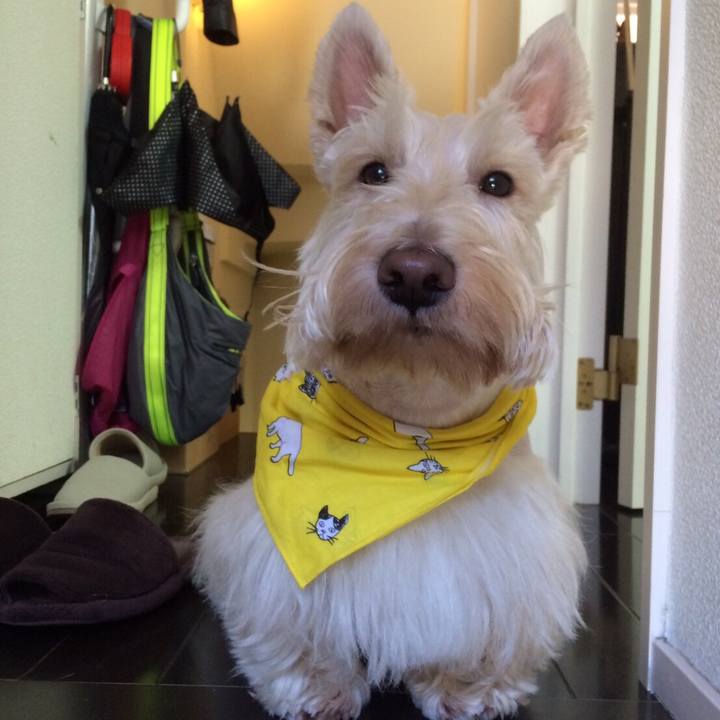 9f327e9c 320a 4f3c a9e0 c856dea4422b