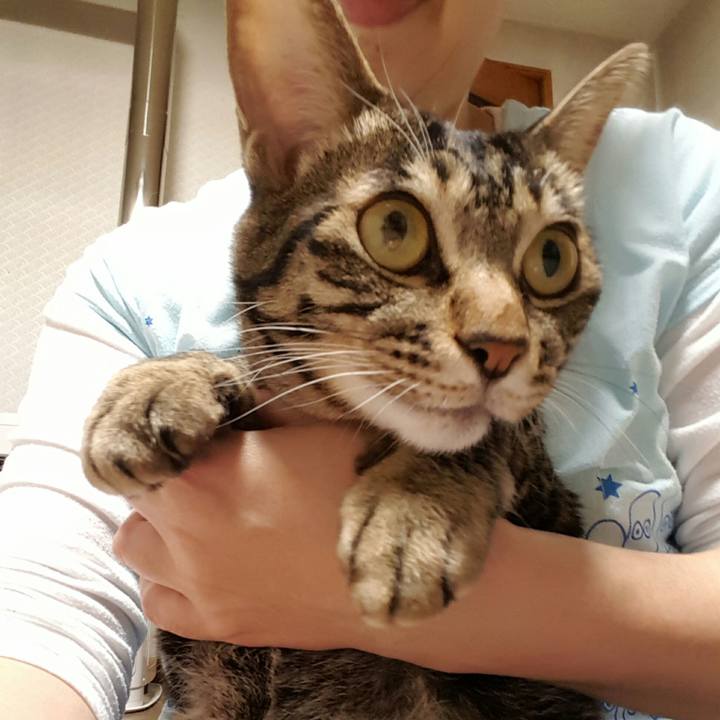 9f32f5df 5bc8 457e 9428 9c932664adbe