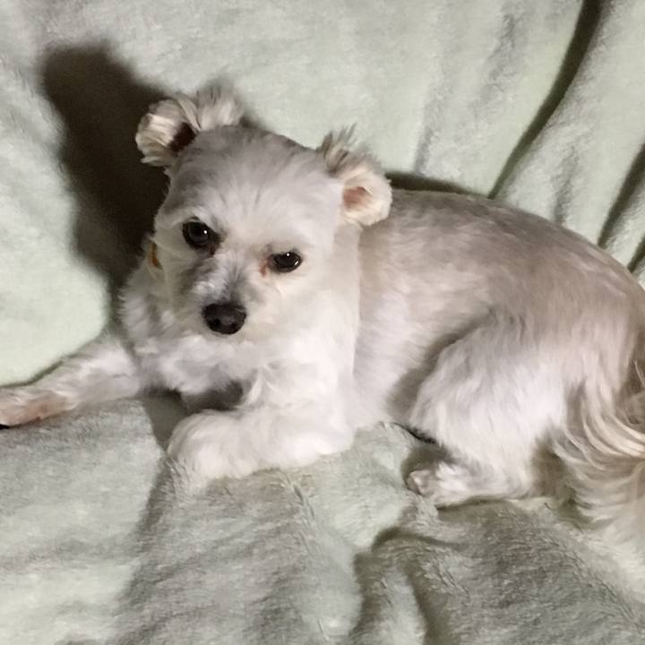 9f3307e7 51af 479d 8677 8c76e6526397