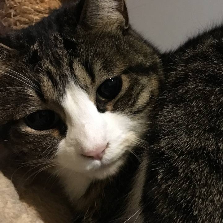 9f33fc4f f833 41ff 91c8 aacd74064e70