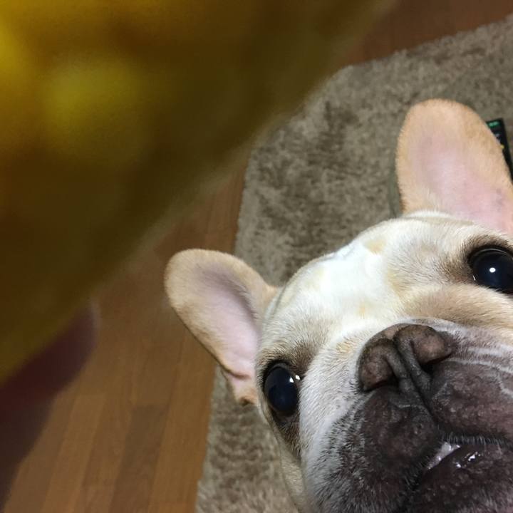 9f3434ab f386 4a71 a9a3 dd6d49146d7c