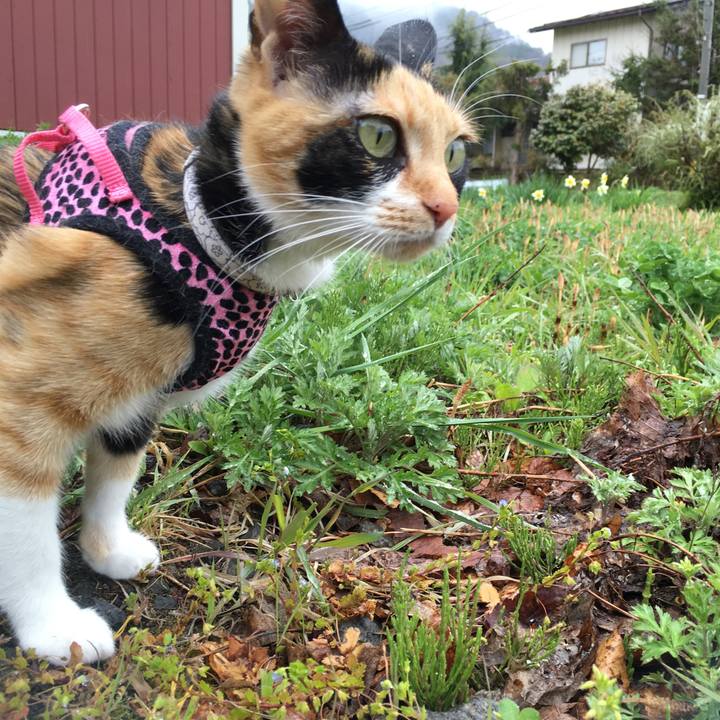 9f34a22b 2dfc 4c3e 9bbe 1b06656f6303