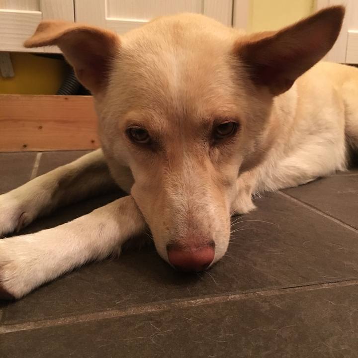 9f3544b8 cb96 47ad 8e91 1aff8a0a3e49