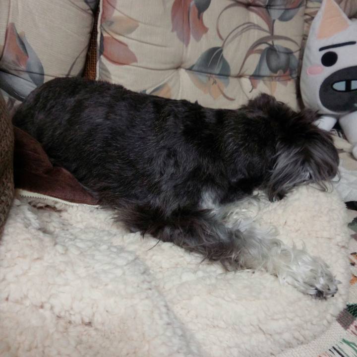 9f35ae03 04fd 4d87 a884 7c5974e1af6a