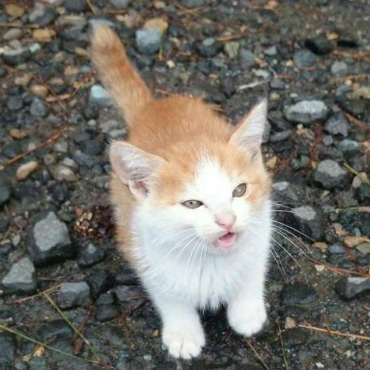 9f3644c7 eada 46c0 8597 36cd781b4676