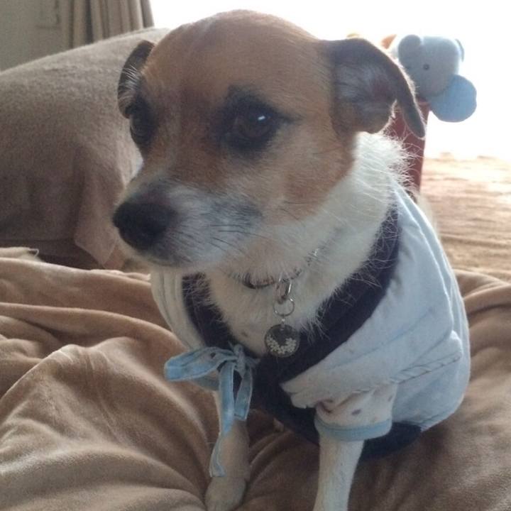 9f36a483 398b 465f 9a87 50d0292aab78