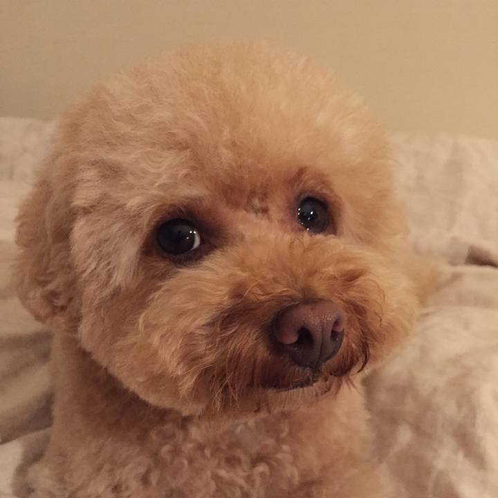 9f36e07d 4952 4005 a3de 95548e9bcbaa