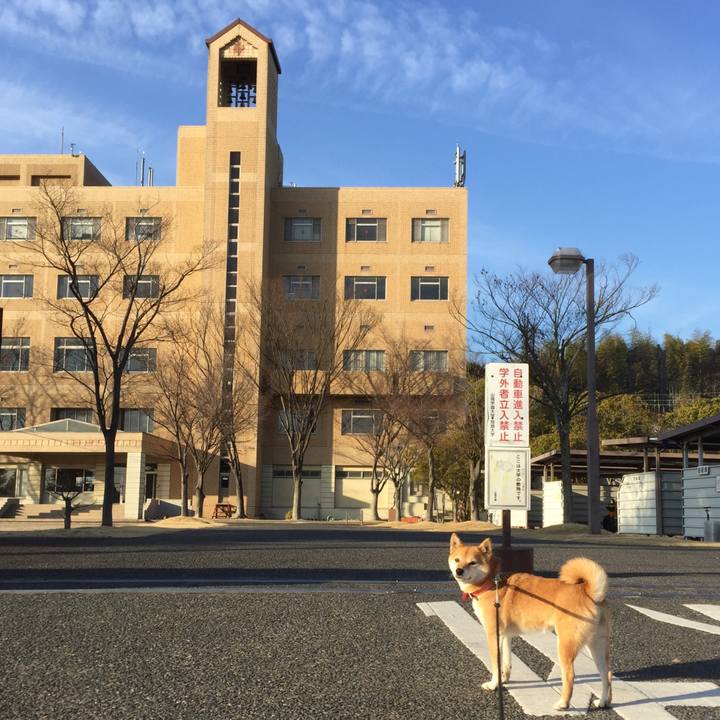 9f3708c7 257d 4ba8 aee6 811ac0b7b922