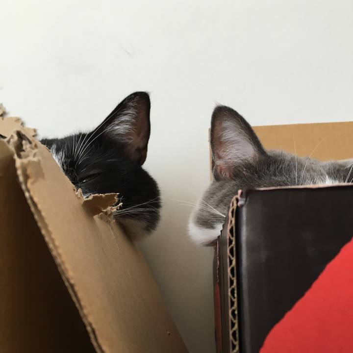 9f37125d 5bc9 4358 8389 45ac1d3d79a5