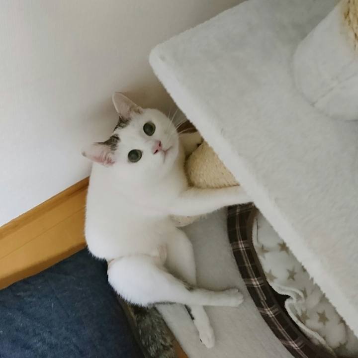 9f383cbe 8c01 43c4 a025 acb6476734fb