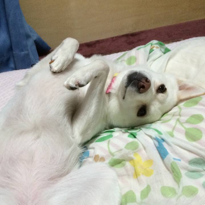 9f384c18 3b33 49f8 a63e 9a8625662c42