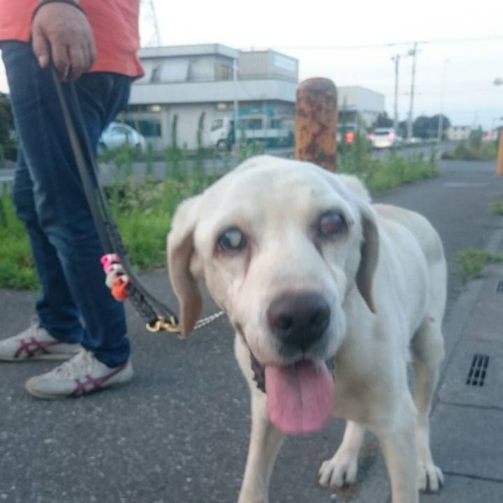 9f38b408 f381 423c 8e19 49ecbb919796