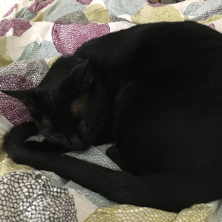 9f38b65c f165 4430 9c95 46077ea0bd9d