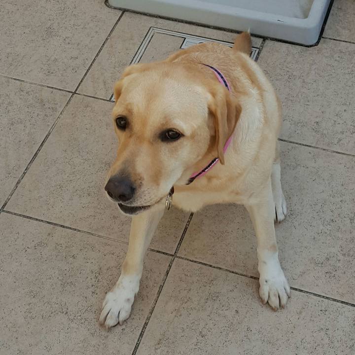 9f38e91a 2ca7 4918 8510 1786116bb1de